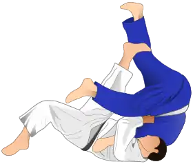 Image illustrative de l’article Sumi-gaeshi