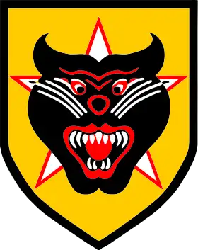 Image illustrative de l’article Rangers de la république du Viêt Nam