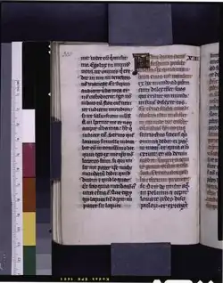 Image illustrative de l’article Jean 13