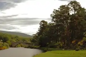 Covaleda